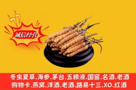 南通市求购回收虫草多少钱每克
